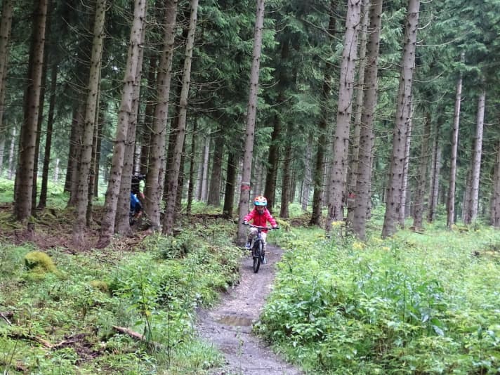   Narrow trails without nasty obstacles: A great introduction to off-road biking.