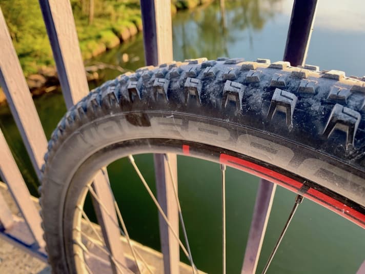   A safe bet in terms of traction and puncture protection: the Wolfpack Race MTB after 800 kilometres on the rear wheel. The durability is also very good, with hardly any wear to be seen.