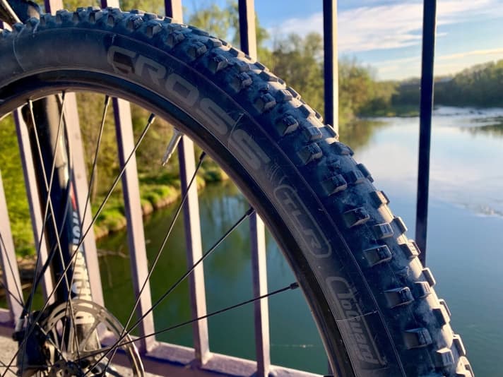   We only rode the cross tyre on the front wheel of the hardtail. For trail bikes, it makes sense to ride the Wolfpack tyre on the front and rear.