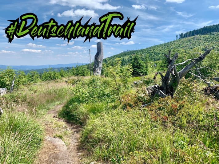 The most beautiful trail passage of the day: between Enzian summit and Chamer Hütte.