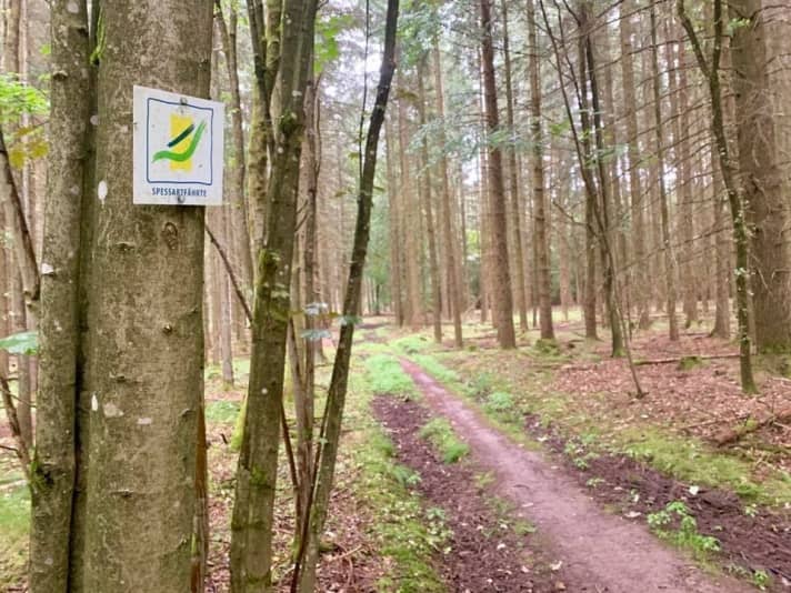 Ein kurzes Trail-Stück entlang des Spessartfährten-Wanderwegs, einer der Top-Pfade in der Region.