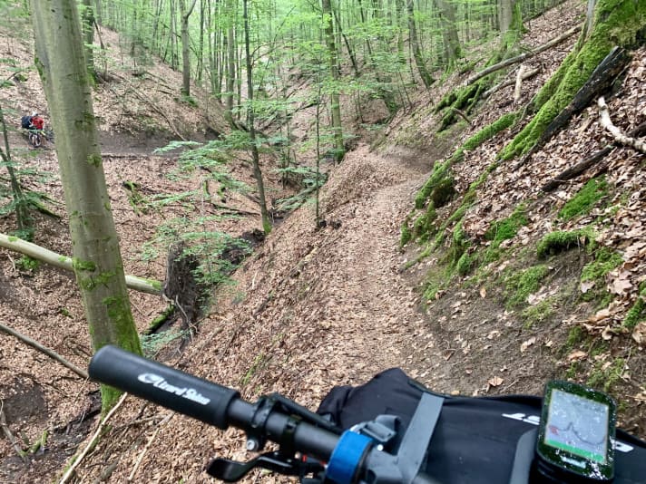 Schmal, naturbelassen und schön lang: der "Eberhard 3"-Trail.