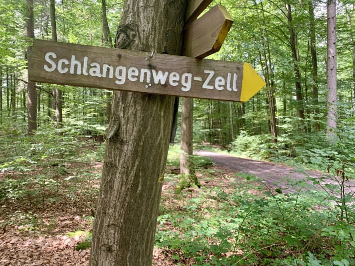 Direkt hinter dem Eberhard-Trail bogen wir in den Schlangenweg ein.