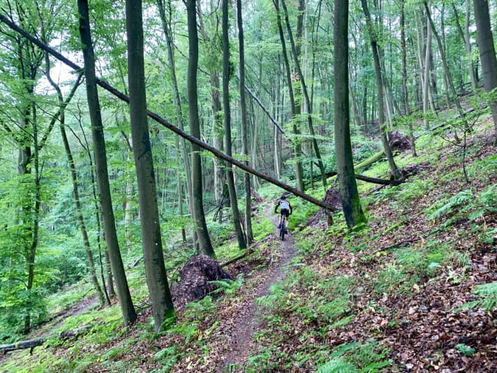 Weiteres Highlight kurz vor Zeil am Main: der Ebersberg-Trail.