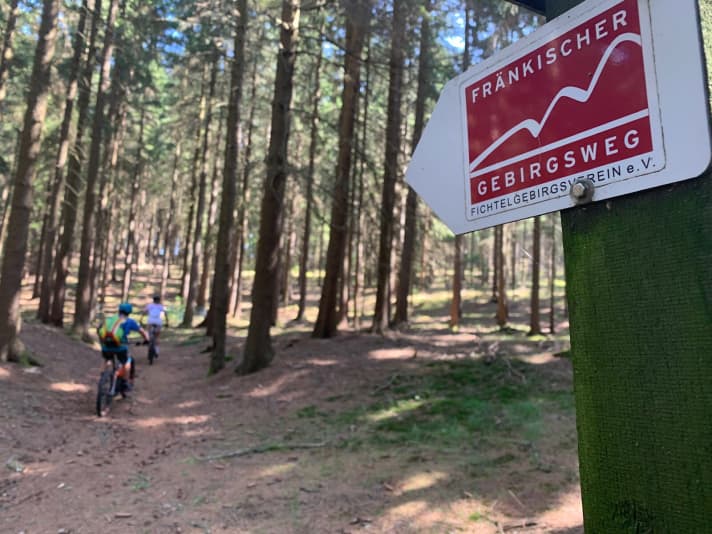 The ascent towards Ochsenkopf: the Franconian Mountain Trail is peppered with trail ramps.