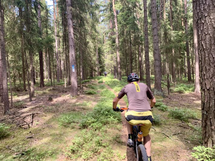 Solche Wege waren das Ziel: Traumhafte Singletrails, die wohl kein Navi finden würde.