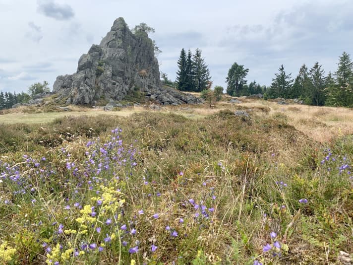 The gneiss rock needles on the Hochfels above Stadlern.
