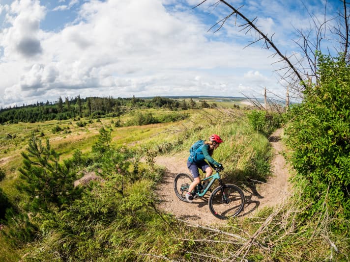 Typical trail centre: tight uphill bends. No problem at all with the manoeuvrability of the Joplin.