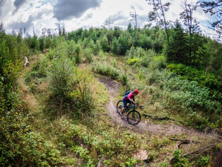 Nothing has been lost in terms of traction, but it is now much more comfortable downhill: the Lowerlink VPP rear suspension even feels like more than 120 mm travel.