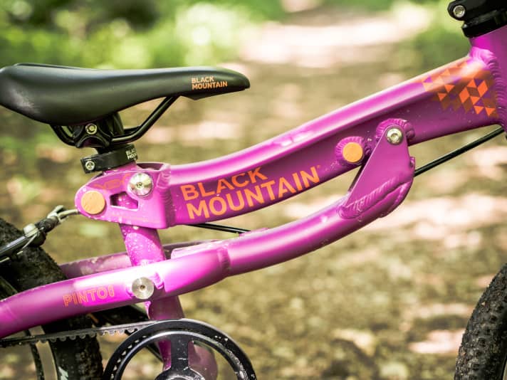 Black mountain pinto bike cheap