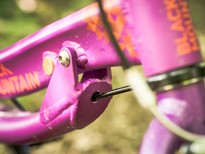 The brake line runs hidden through the down tube.