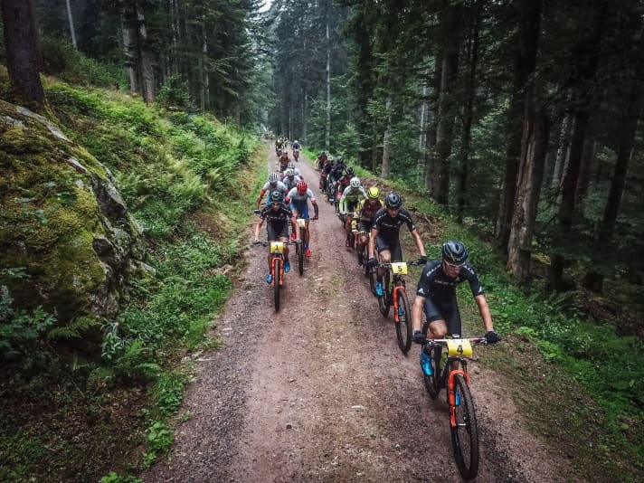   The stages through the Upper Black Forest are varied and lead over wide forest paths as well as tricky trails. In addition to good form, safe riding technique is also required.