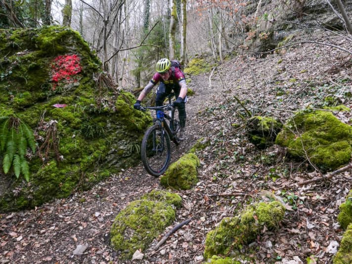   Unser Autor Henri Lesewitz fühlte sich vom E-Caliber eher ausgebremst. Für ihn ist das Supercaliber der klare Sieger des Duells.