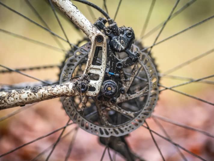 Wer auf eine Getriebenabe umrüsten möchte, kann mit dem variablen Ausfallende den Riemen oder die Kette spannen.