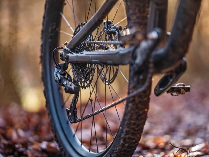 Das kleinste Ritzel der Sram-NX-Schaltung besitzt elf Zähne. Zusammen mit den 30 Zähnen am Kettenblatt fehlt dem Specialized ein richtig schwerer Gang.