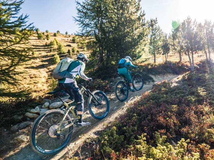 In this price category, all-mountain bikes from specialist retailers struggle to keep up with the mail-order bikes. Weaknesses in equipment and weight put the brakes on riding enjoyment.