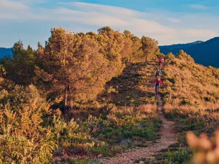 Malaga bietet viele, aber meist anspruchsvolle Enduro-Trails