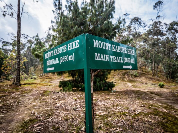 Am Mount Kabuye leben die Berggorillas, wegen denen die meisten Touristen kommen. Wir genießen dagegen den Trail.
 