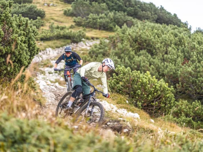 The Bear Trail is notorious for its rugged rocky sections combined with loamy ground. When wet, the trail turns into a slide. We were lucky with the weather and were able to put the Specialized and YT enduro bikes through their paces on "species-appropriate" terrain.