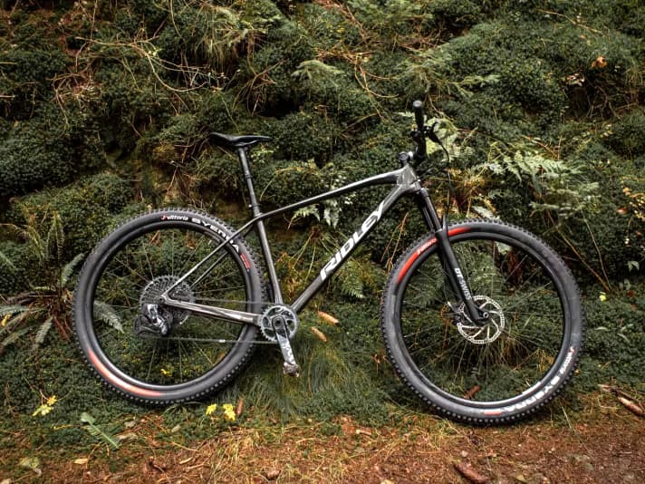 Ridley Probe RS - ersetzt es das Hardtail Ignite im Portfolio?