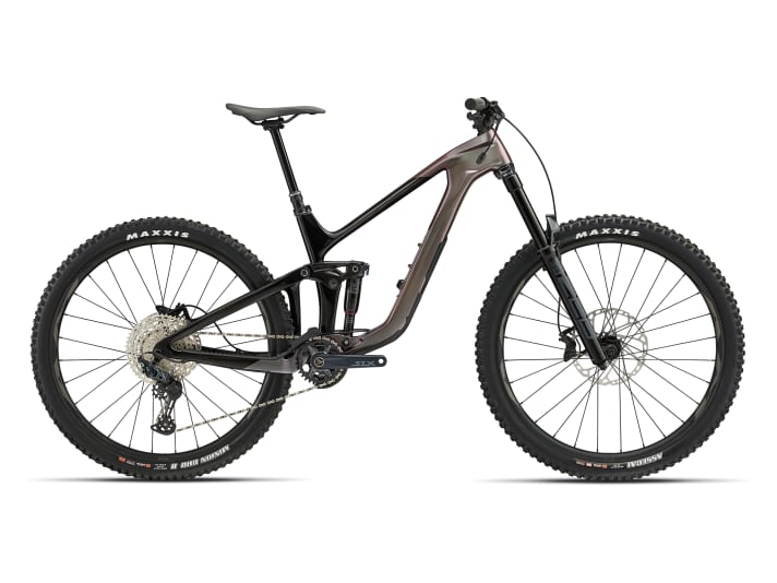 For 5299 euros, the Giant Reign Advanced Pro 2 comes with Rockshox Select suspension and Shimano SLX gears.