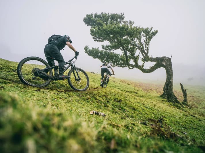 Ausflug  nach Madeira: Das YT Izzo im Dauertest-Einsatz