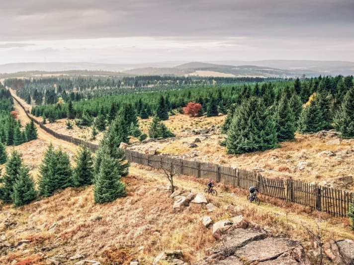 Raised bog in the Ore Mountains