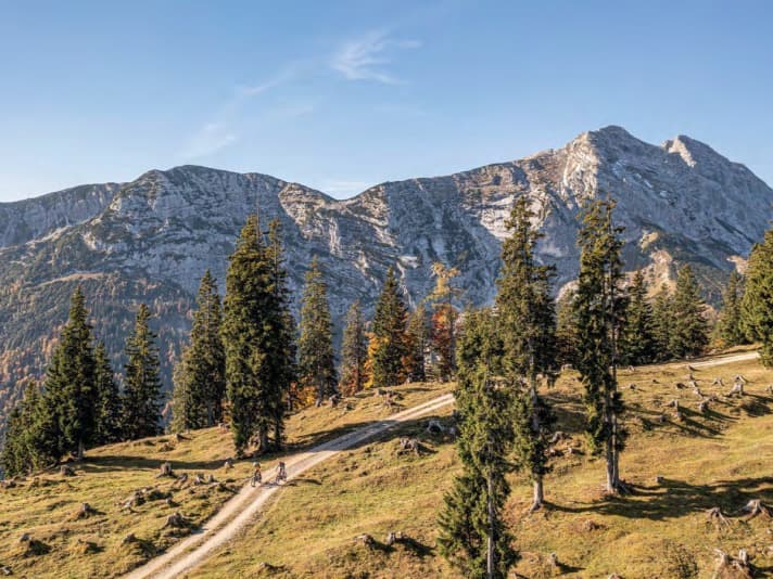 Idyllische Wegen führen zur Guffert-Hütte.