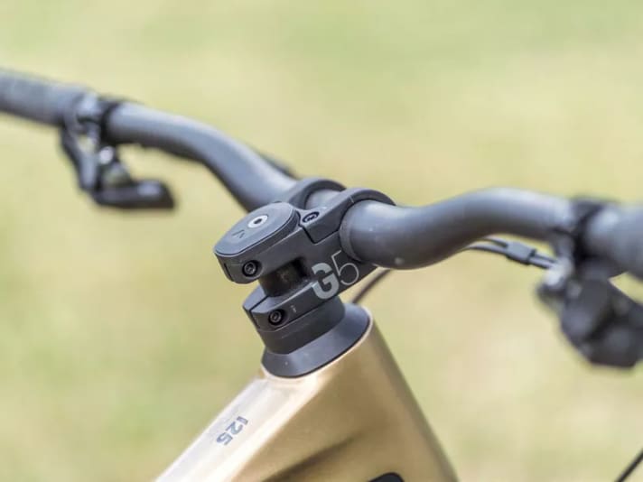   Die hauseigenen G5-Komponenten sind zwar recht schwer, dafür aber, genau wie der Rahmen, für den Einsatz im Bikepark freigegeben.