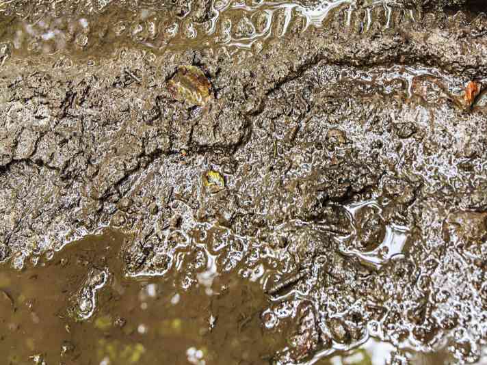 Bei Schlamm und Matsch sind Crossreifen mit groben Stollen besser geeignet als fein profilierte Gravelreifen.