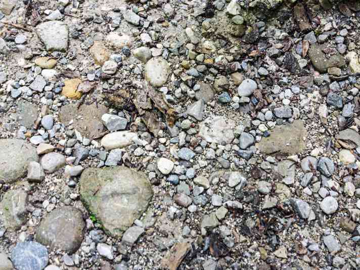 Bei Wald- und Feldwegen sind Gravelreifen mit feinem Profil optimal.