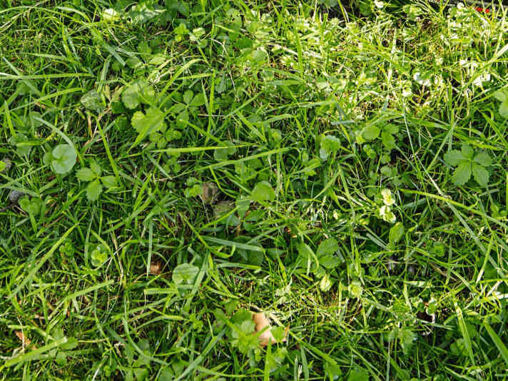 Coarse-tread cross tyres grip better and therefore allow a sporty riding style even on muddy meadows.