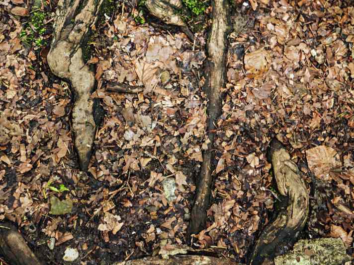 A tyre pressure of approx. 4-5 bar is advisable when riding over rough and smooth terrain.