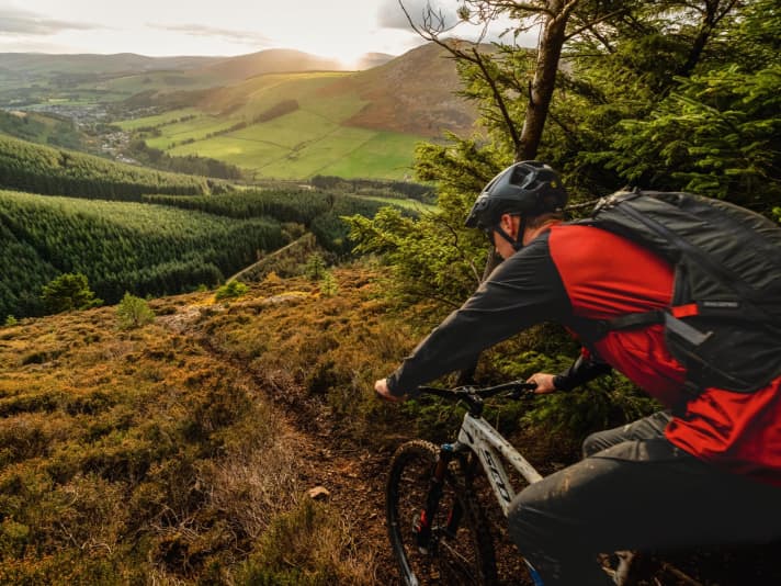 Glentress Forest, keine 50 Kilometer südlich von Edinburgh bei Peebles gelegen, ist als Teil des 7Stanes-Netzwerks eine der Geburtsstätten der schottischen Trailcenter-Kultur.