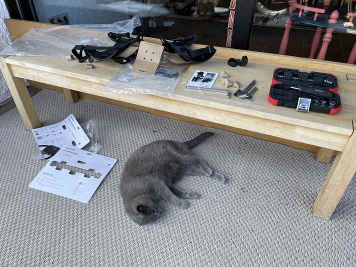 Katze enttäuscht, nach der Montage kaum etwas an Verpackungsmüll zum Spielen da.