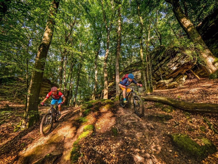 The eroded sandstone walls in Müllerthal hint at a long-gone sea. Lucky for bikers: the sandstone offers good grip and dries quickly when it rains.