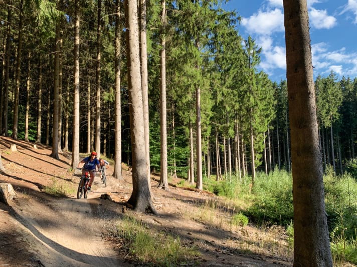 Hareskoven trails in the north-west of Copenhagen
