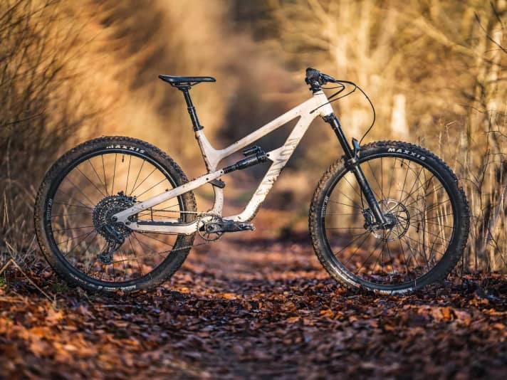 Downhill specialist Canyon Spectral 29 AL 6: Good test rating in the BIKE test