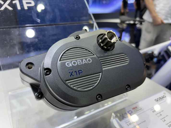 The Gobao X1P delivers 1500 watts and has a continuously variable transmission built in.