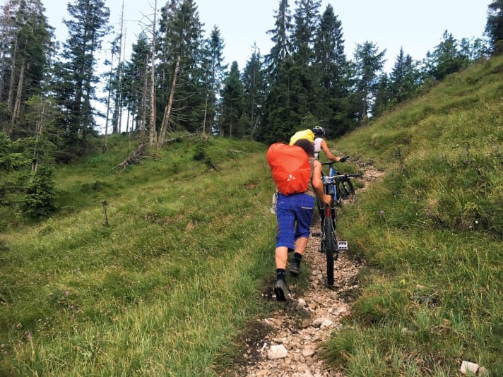 Pushing a bike is not really fun.