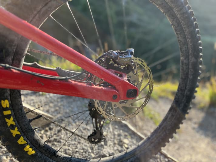 Flipchip: The chainstays can be shortened to a short 436 millimetres using a flipchip. Nevertheless, the Altitude is not a manual machine. The gears have to be readjusted afterwards.