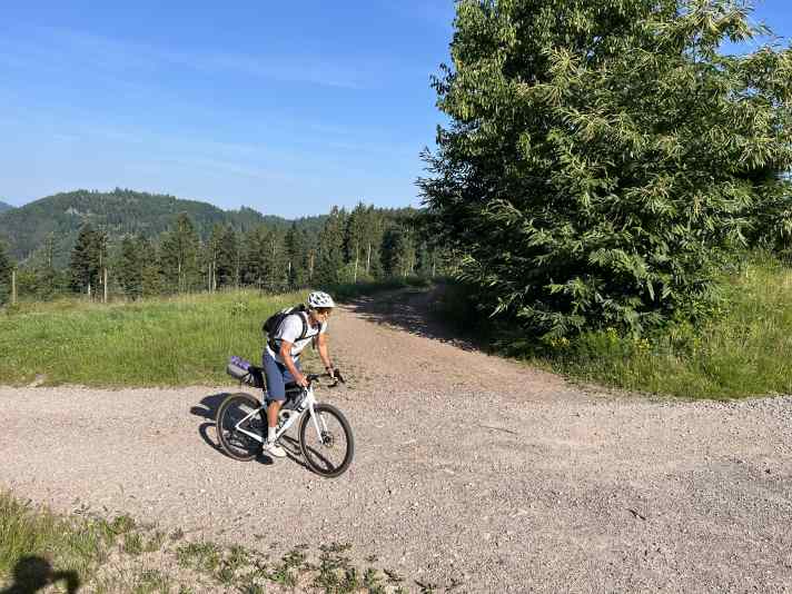 Da freut sich das Gravelbike: so viel schöner Gravel. Auf dem Weg zum Mummelsee.