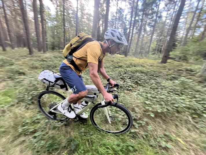 Over soft forest soil: always heading north.