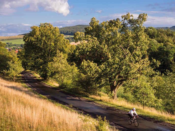 Die ausgedehnten Buchenwälder in der Rhön gaben der Trans-Buchonia ihren Namen.