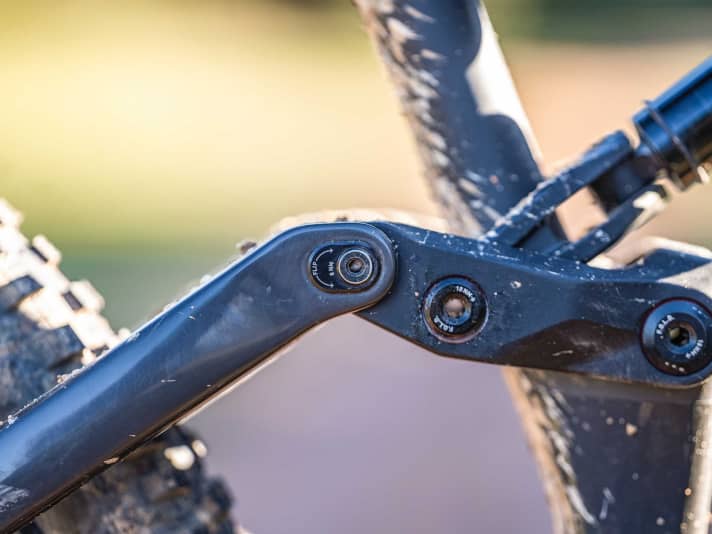 Flipchips haben viele Bikes. Doch in diesem Fall sind die Anpassungsmöglichkeiten an Kettenstreben und Lenkwinkel (Lagerschale) sehr deutlich.