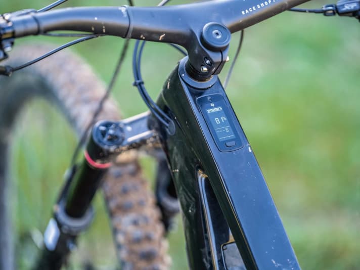 Die Trek-eigene Darstellung auf dem TQ-Display hat uns besser gefallen als die klassische Anordnung an anderen TQ-Bikes. Logisch und übersichtlich!