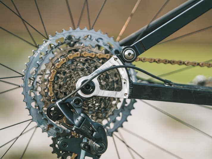 Interchangeable dropouts make the Celtic compatible with all axle standards and wheel sizes - a dream for custom fans.