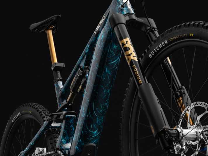 Turned on its head: the elegant but also expensive Fox Podium upside-down fork.