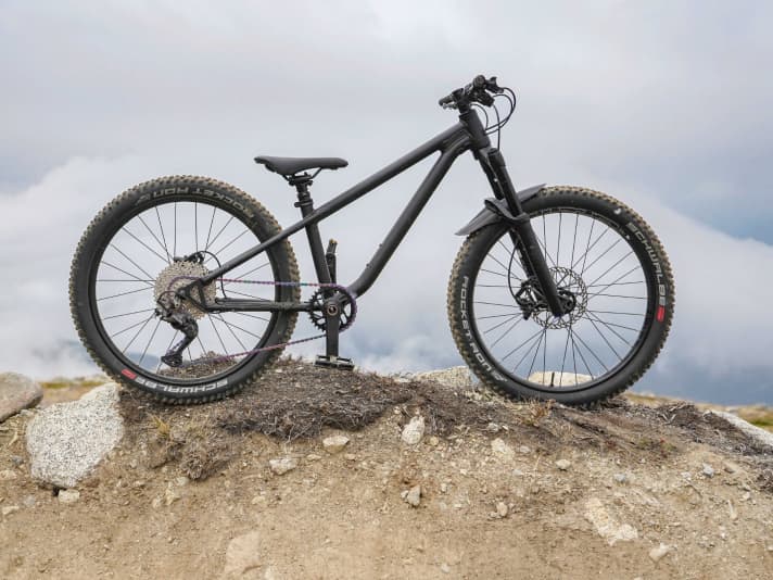 Hardtail 24 sales