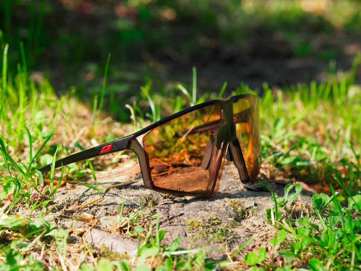 Kat. 0-3: Julbo Edge Reactiv